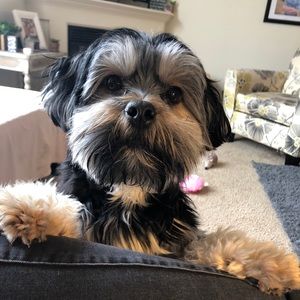 Meet your Posher, Cassity